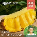 【発送中】沖縄県産パイナップル”ゴールドバレル”1玉(1.5kg以上)｜7月下旬～8月中旬頃発送予定｜マルエスファーム　…