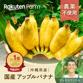 【発送中】農薬不使用の国産アップルバナナ 1kgまたは2kgから選べる｜楽天ファームこだわり農家直送　マルエスファーム