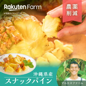 【受付終了】国産スナックパイン2玉(1.5kg)/3玉(2kg) パクっと美味しい!鮮度＆完熟糖度 ｜7月中旬〜8月中旬発送予定｜マルエスファーム 楽天ファームこだわり農家直送