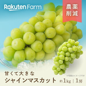 yz1[1kg̃rbOTCYIRYVC}XJbg 9{`{͂\聚 RRsYI͖_̃W{TCYԂǂ ێRt[c_@yVt@[