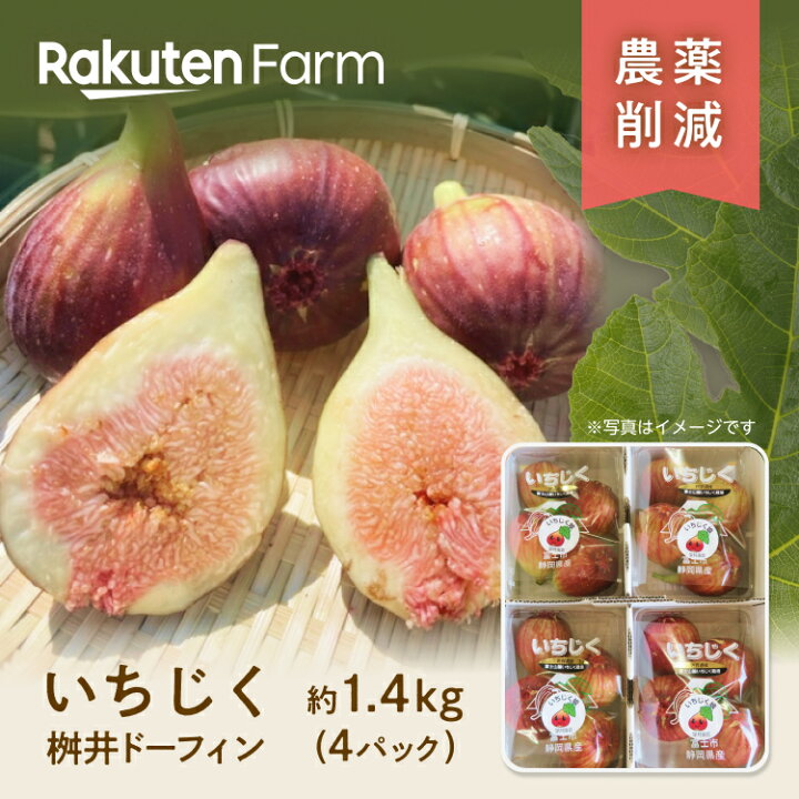 楽天市場】【予約】静岡県産いちじく”桝井ドーフィン” 約1.4kg(4パック 