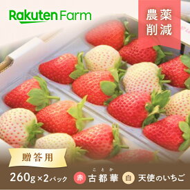 【発送中】奈良県産紅白いちごセット”古都華＆天使のいちご®” 2パック ★ご注文順に発送～5月下旬頃お届け予定★ 赤白二色の苺食べ比べ詰め合わせ 奈良県オリジナル品種のいちご OdaMaki農園　こだわり農家直送