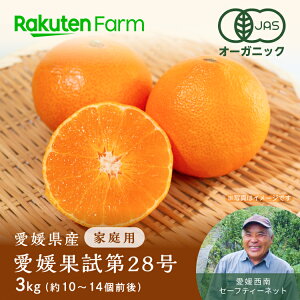 【予約】愛媛県産有機愛媛果試第28号 約3kg|12月上旬〜中旬頃お届け予定|愛媛西南セーフティーネット 楽天ファーム こだわり農家直送