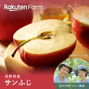 【予約】長野県産りんご”サンふじ”家庭用 約5kgまたは10kgから選べる|11月下旬〜12月中旬頃お届け予定|信州中野つどい農園 楽天ファームこだわり農家直送
