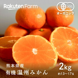 【予約】熊本県産有機みかん”肥のみらい” 約2kg｜12月上旬〜1月中旬頃お届け予定｜右田柑橘　楽天ファームこだわり農家直送