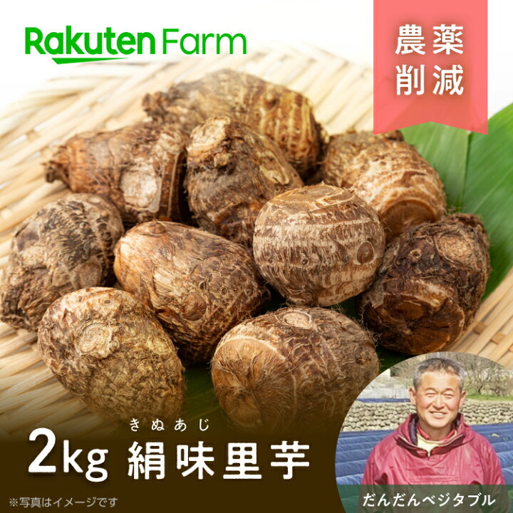 楽天市場 発送中 絹味里芋 きぬあじさといも 2kg S 2lサイズ混合 だんだんベジタブル 愛媛県西条市産 農薬削減 自家製有機肥料で栽培 土の中で長く育てた大きな里芋 柔らかくて粘りが強く濃厚な甘みと旨味 土付き出荷で芋の負担を軽減 送料無料 こだわり 楽天市場 発送中 絹味里芋 きぬあじさといも 2kg S 2lサイズ混合 だんだんベジタブル 愛媛県西条市産 農薬削減 自家製有機肥料で栽培 土の中で長く育てた大きな里芋 柔らかくて粘りが強く濃厚な甘みと旨味 土付き出荷で芋の負担を軽減 送料無料 こだわり