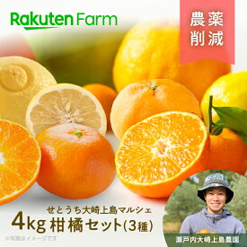 【受付終了】季節のみかんおまかせ3種食べ比べセット 約4kg ★1月下旬～3月下旬頃お届け予定★ マルシェで買い物するようなワクワクする柑橘詰め合わせ 清見・不知火・はるみ・いよかん・八朔など 瀬戸内大崎上島農園　こだわり農家直送