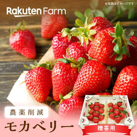 【4/17 9:59まで4パック725円OFF】ギフト★完熟苺モカベリー2パック・4パック｜1か月以内を目安に発送・5月下旬頃まで発送予定｜楽天ファームこだわり農家直送　はなだふぁーむ｜※北海道・沖縄・離島地域配送不可※