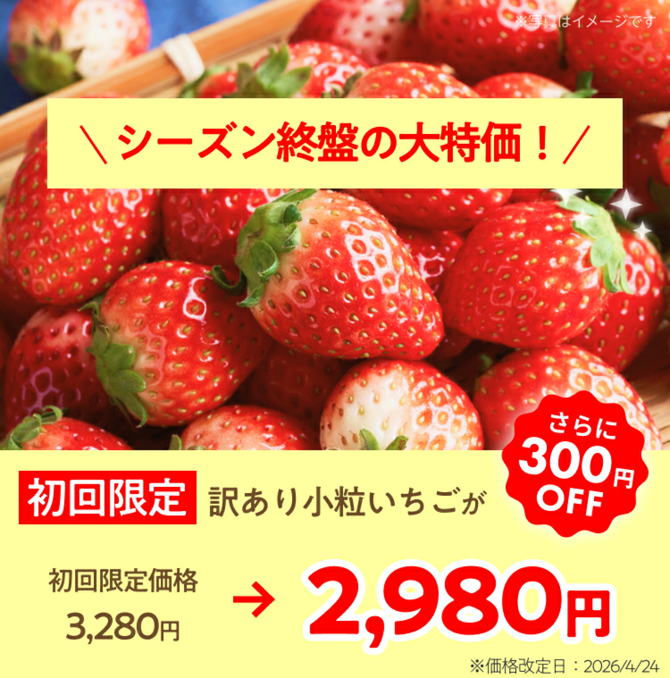 訳あり小粒モカベリーがシーズン終盤につき大特価値下げ2,980円