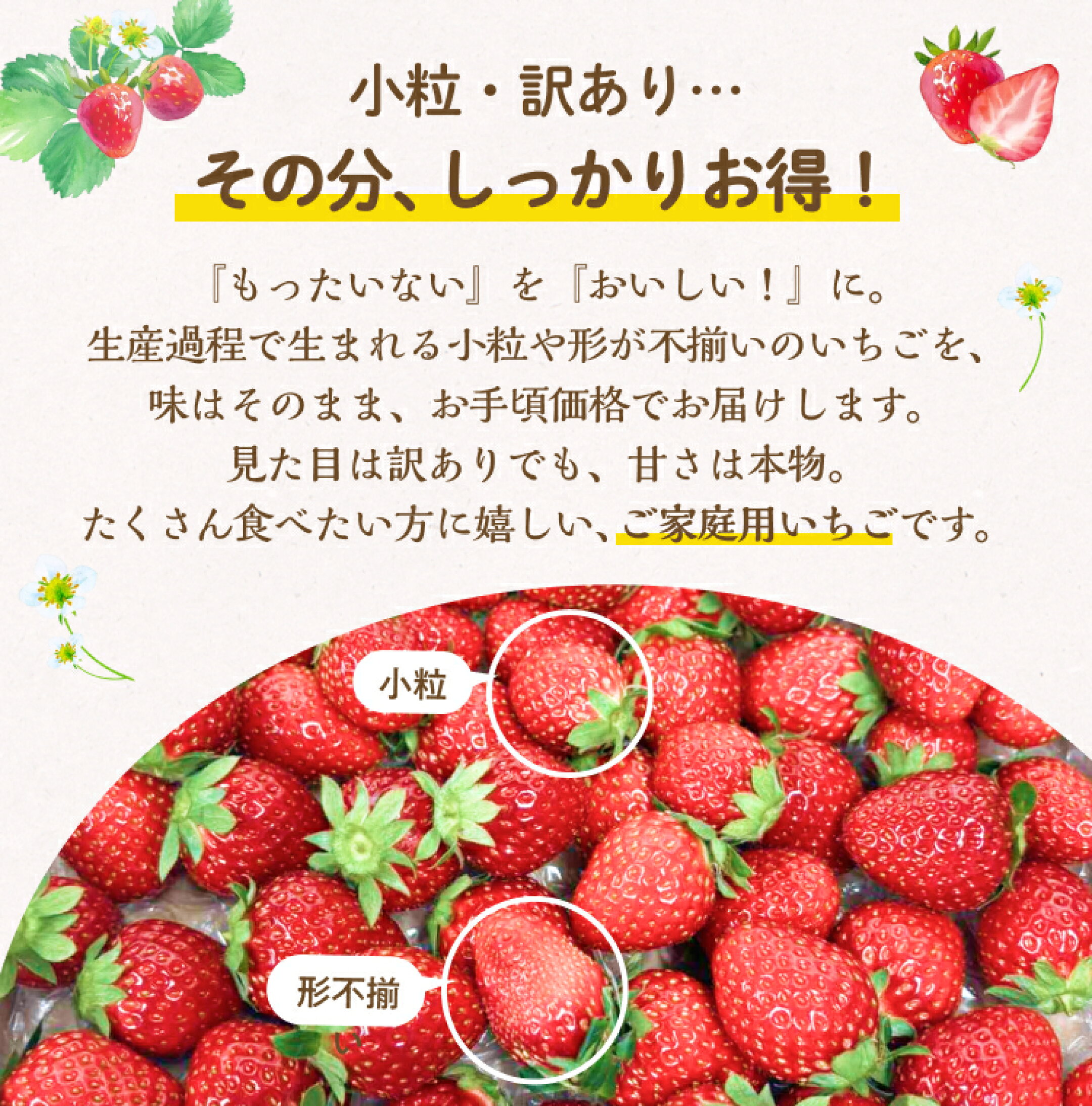 訳あり品なので、その分しっかりお得です