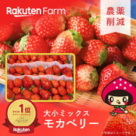 【1週間以内を目安に発送】子どもが喜ぶ★大小ミックス”モカベリー” 600g｜5月下旬頃まで出荷予定｜は…
