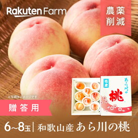 【発送中】和歌山県産白桃”あら川の桃” 1.5kg(6～8玉)【贈答用】｜6月下旬〜8月上旬頃発送予定｜日川白鳳・白鳳・なつっこ・清水白桃・川中島などから品種おまかせ｜橋村農園　楽天ファームこだわり農家直送