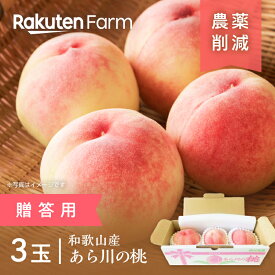 【発送中】和歌山県産白桃”あら川の桃” 3玉【贈答用】｜6月下旬〜8月上旬頃発送予定｜日川白鳳・白鳳・なつっこ・清水白桃・川中島などから品種おまかせ｜橋村農園　楽天ファームこだわり農家直送
