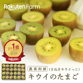【予約】香川県産ひとくちキウイ”キウイのたまご”24玉(品種：さぬきキウイっこ) 24玉｜11月中旬〜3月下旬頃お届け予定｜キウイバード　楽天ファームこだわり農家直送