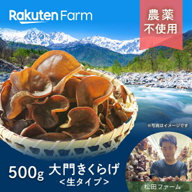 【発送中】富山県産 生大門きくらげ 500g◆富山県砺波市 松田ファーム◆栽培期間中農薬不使用◆国産菌床使用◆刺身やしゃぶしゃぶで味わうコリコリ食感◆栄養成分も嬉しい◆楽天ファームこだわり農家直送◆送料無料