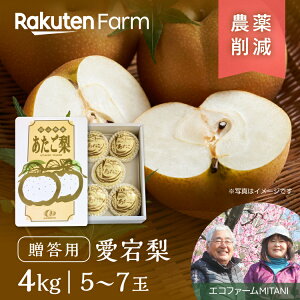 梨 特大の人気商品 通販 価格比較 価格 Com