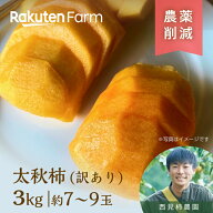 【予約】福岡うきはの太秋柿【訳あり家庭用】約3kg（7～9玉程度）｜10月上旬～11月中旬頃発送予定｜西見…