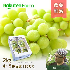 【予約】たっぷり2kg！岡山県産訳ありシャインマスカット 約2kg(4~5房程度) ★9月下旬〜10上旬頃お届け予定★ 合同会社のふう　楽天ファームこだわり農家直送