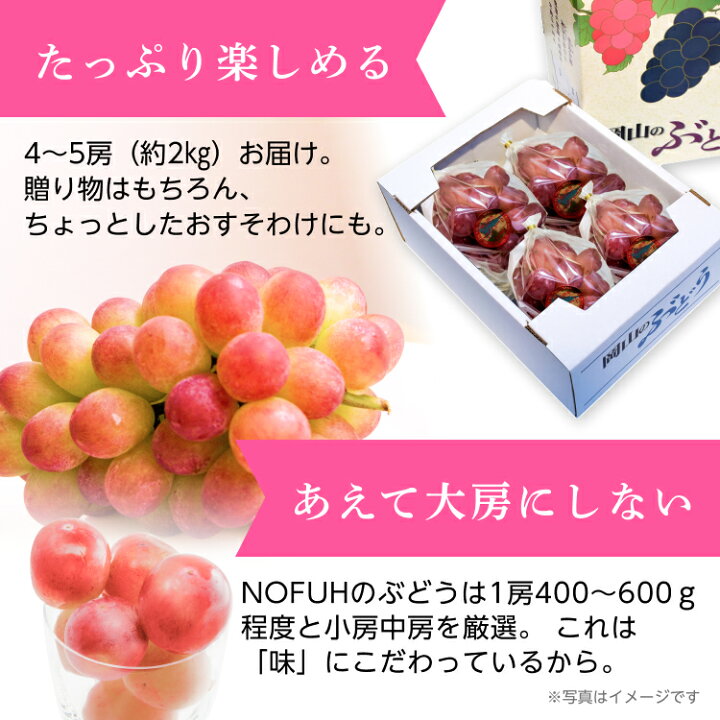 楽天市場】【受付終了】たっぷり2kg！岡山県産訳あり赤いシャイン 