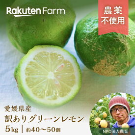 【今期は販売終了】愛媛県産農薬不使用訳ありグリーンレモン2kg/5kg 10 月中旬～11月下旬頃発送予定 太陽と潮風を浴びた ミネラルたっぷり 瀬戸内海に浮かぶ中島よりお届け愛媛県中島 NPO法人農音 楽天ファームこだわり農家直送