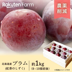 【発送中】北海道産プラム”紅香のしずく” 約1kg(8~10個前後｜贈答用)｜9月下旬〜10月上旬頃お届け予定｜大橋さくらんぼ園　楽天ファームこだわり農家直送　産直｜9月おすすめ