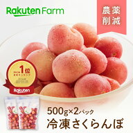 【最短4日目安で発送】国産冷凍さくらんぼ約1kg(500g×2パック)｜大橋さくらんぼ園　楽天ファームこだわ…