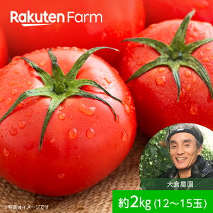 千葉県産トマト2kg（約12〜15玉）リピーター続出！酸味と甘みのバランス絶妙”うまい”トマト　大倉農園　こだわり農家直送