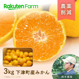 【予約】和歌山下津の昔ながらの早生みかん 約3kg(SS〜Sサイズ) ｜11月中旬〜12月下旬頃お届け予定｜防腐剤・ワックス不使用｜鈴木農園　楽天ファームこだわり農家直送