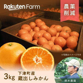 【予約】和歌山下津の伝統”蔵出しみかん” 約3kg｜1月中旬〜2月下旬頃お届け予定｜防腐剤・ワックス不使用｜鈴木農園　楽天ファームこだわり農家直送