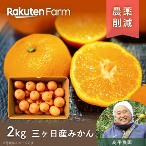 yzÉOPň݂ 2kg܂4kgIׂb3S~STCY̏ʂ݂b11{`12{͂\b_@yVt@[_ƒ