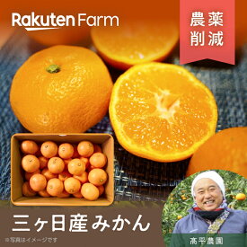 【予約】静岡県三ケ日で育った小粒みかん 約2kgまたは4kgから選べる｜3S~Sサイズの小玉みかん｜11月中旬～12月中旬頃お届け予定｜高平農園　楽天ファームこだわり農家直送