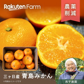 【予約】静岡県三ケ日で育った青島みかん 約2kgまたは3.5kgから選べる｜L~3Lサイズの大きめみかん｜12月下旬～1月下旬頃お届け予定｜高平農園　楽天ファームこだわり農家直送