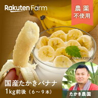 【発送中】熊本県産 農薬不使用バナナ 約1kg(6〜9本前後)｜たかき農園　楽天ファームこだわり農家直送　…