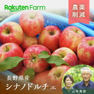 【予約｜9/15頃から発送開始】農薬50％節減の長野りんご”シナノドルチェ” 【通常品】1kg・2kg・3kg・5k…