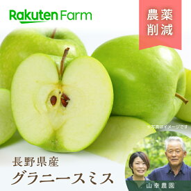 【予約】農薬50％削減の長野りんご”グラニースミス” 約3kg/5kg/10kg(通常品) ｜2025年は11/15〜12月末頃出荷予定｜山幸農園　楽天ファームこだわり農家直送