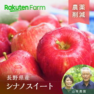 【予約｜10/10頃より発送開始】農薬50％削減の長野りんご”シナノスイート”【通常品】1kg・2kg・3kg・5k…