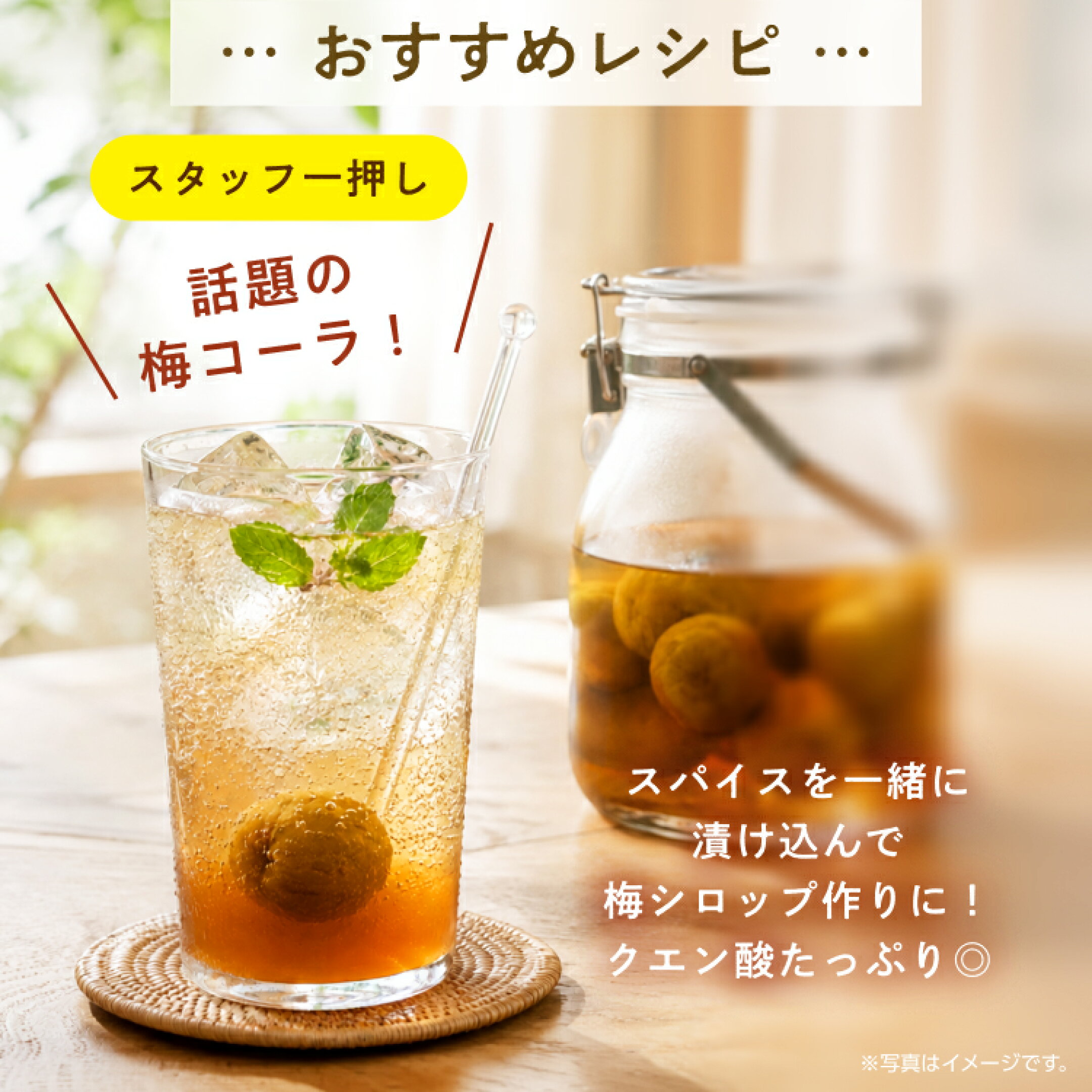 話題の梅コーラにも！スパイスを一緒に 漬け込んで 梅シロップ作りに！ クエン酸たっぷり◎ 