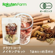 有機JAS認証 クラフトコーラメイキングセット 1袋約8杯分・袋数選べる 送料無料