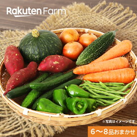 こだわり農家直送　香川県さぬきこだわり市　6〜8品おまかせ野菜セット