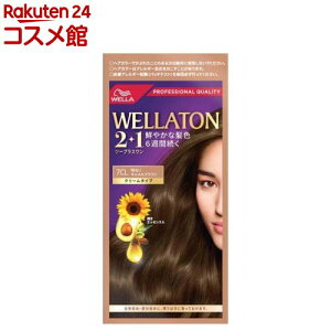 EGg[2+1 N[^Cv 7CL 邢LuE(1Zbg)yEGg[z[ IC T   ]