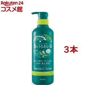 Ĉ邨 邨PARfBVi[ |v(490g*3{Zbg)yĈ邨z