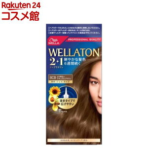 EGg[2+1 t^Cv 8CB 薾邢i`uE(1)yEGg[z[ IC T   ]