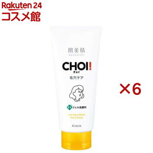  CHOI pWF痿 EьPA(110g×6Zbg)yz