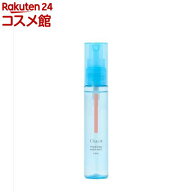 【企画品】チャコット フィニッシングキープミスト クール017(50ml)