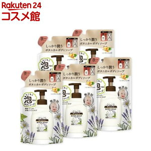 _CA{^jJ A{fB\[v fB[vCXg l [nj[IW̍](700ml*5܃Zbg)y_CA{^jJz