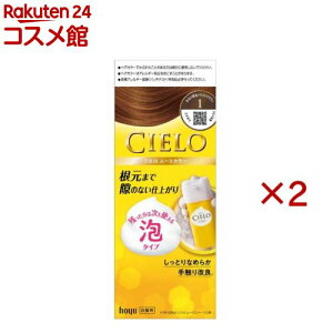 VG [XJ[ 1 Ȃ薾邢CguE(2Zbg)yVG(CIELO)z[]