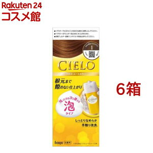 VG [XJ[ 1 Ȃ薾邢CguE(6Zbg)yVG(CIELO)z