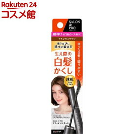 サロンドプロ カラーオンリタッチ 白髪かくしEX ナチュラルブラウン(15ml)【サロンドプロ】[白髪かくし マスカラタイプ 徐々に染まる 速乾]