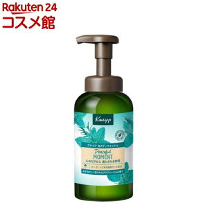 クナイプ 泡ボディウォッシュ ピースフルモーメント アクアハーバルの香り(450g)【クナイプ(KNEIPP)】