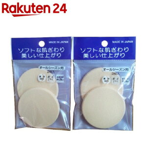 t@f[VX|Wpt gїpP[Xt P01 ی^(4R)